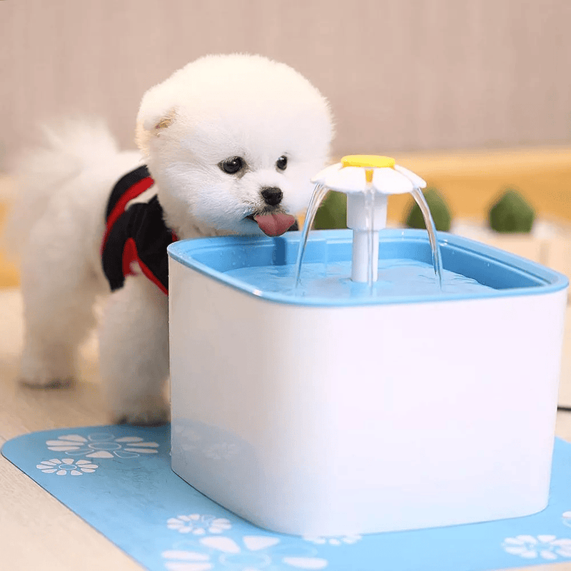 Fuente de agua automática para perros y gatos: hidratación fresca todo el día